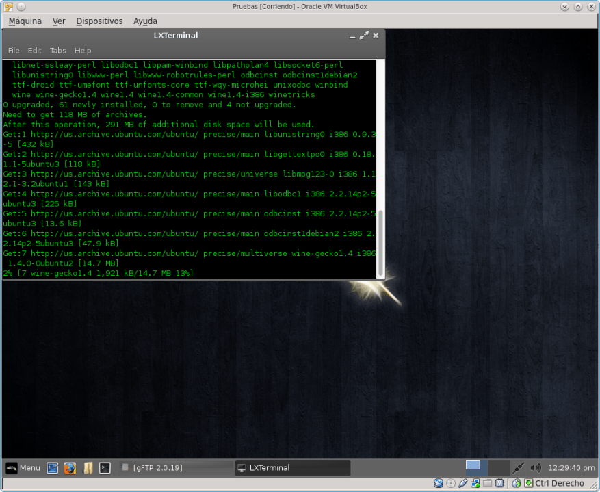 LL108-Instalado-InstalandoWine