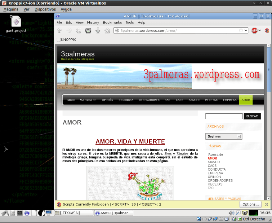 Knoppix-IceweaselMostrandoEstaWeb3palmeras