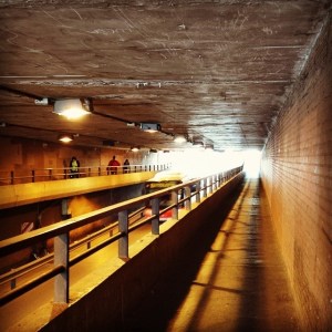 10432063_548841618554858_1615404416_n