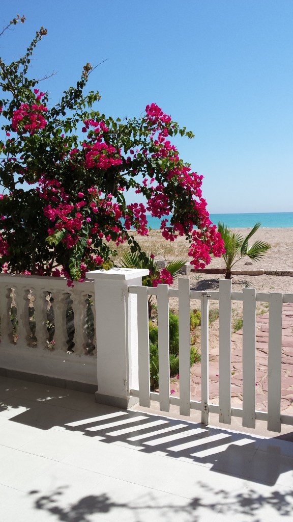 La terraza de mis cuñados