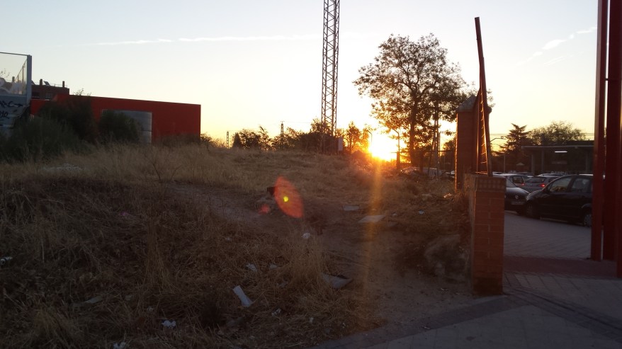 El sol sale por donde quiere haciéndose paso si o si