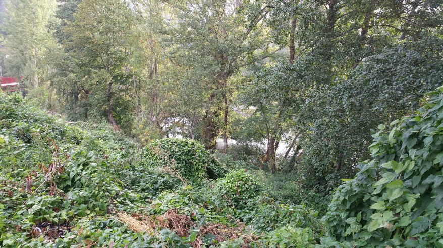 Santander- Paisaje rural