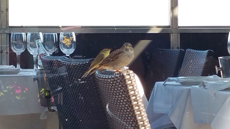 Santander- Remanso de paz