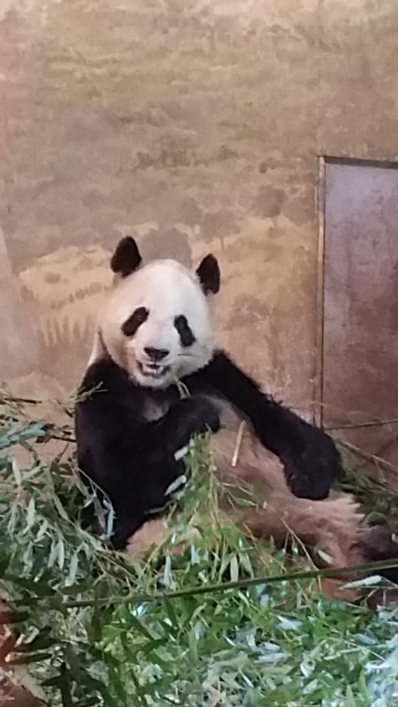 20160229_154853-e1478444917327