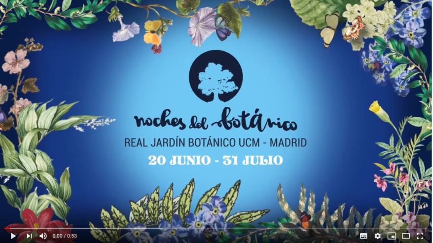 Noches Del Botánico-Madrid 2019-0
